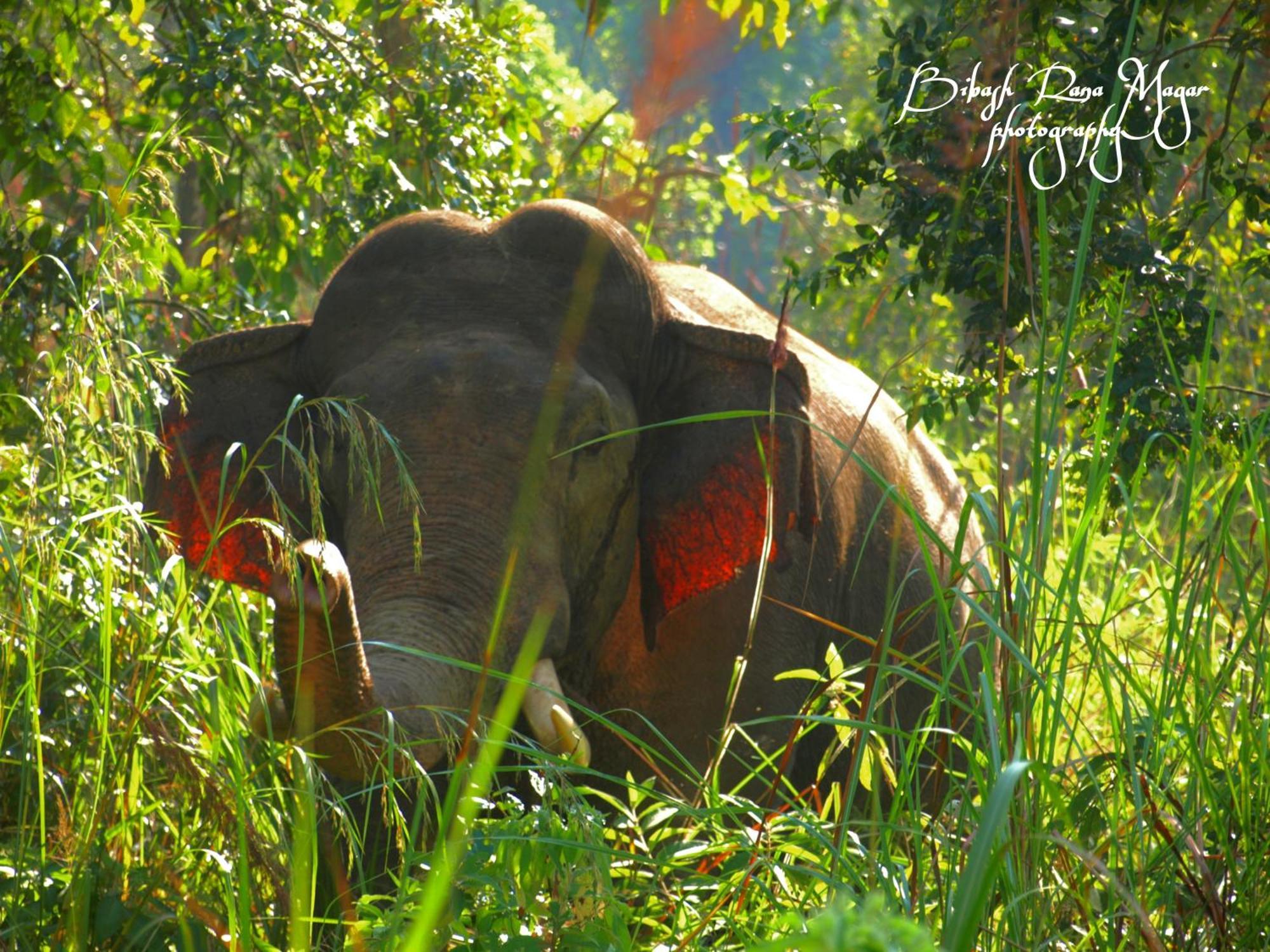 Mr. B'S Place Bardiya Zewnętrze zdjęcie