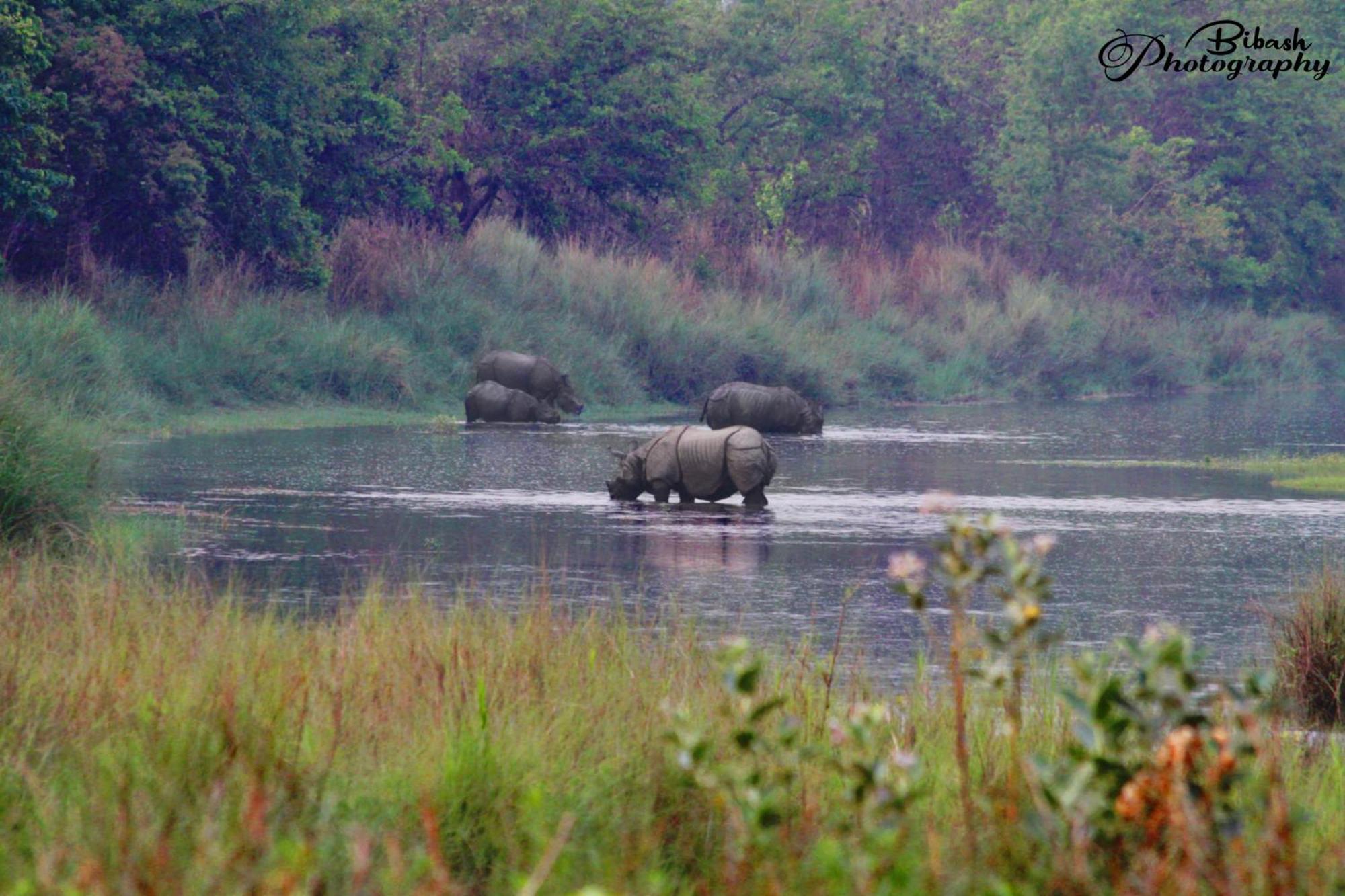 Mr. B'S Place Bardiya Zewnętrze zdjęcie